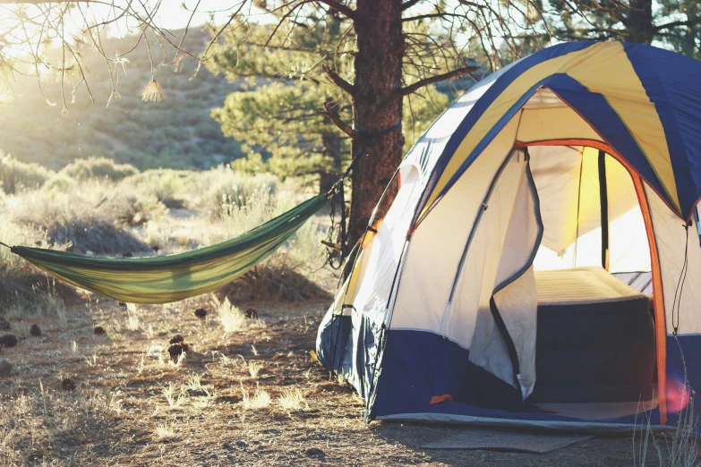 a tent that is next to some trees