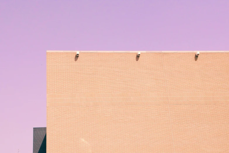 two birds are perched on a brick building