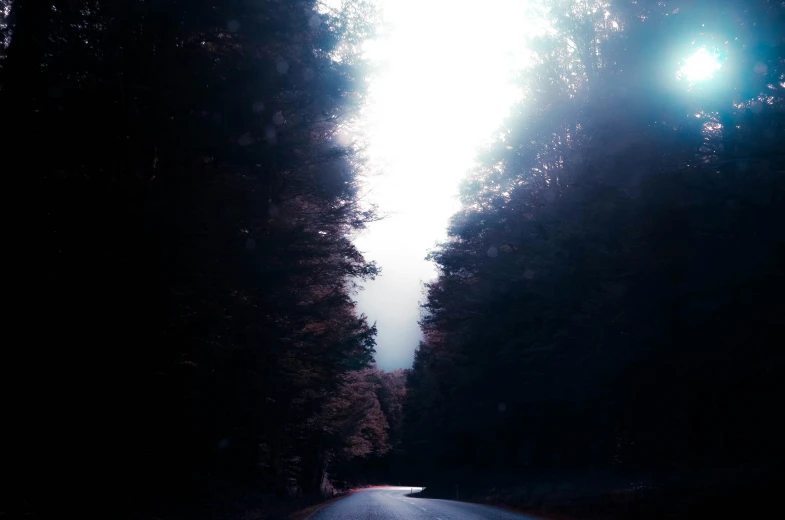 the sun shining through some trees on a road