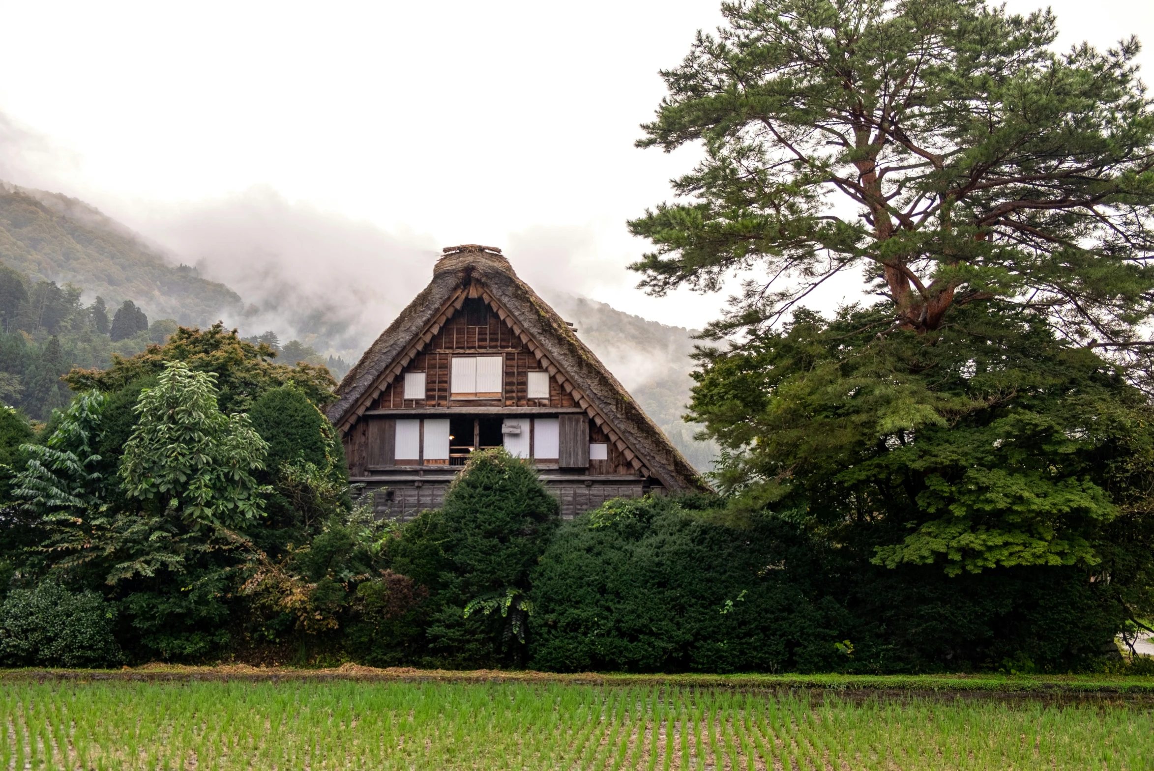 a house in the middle of a forest