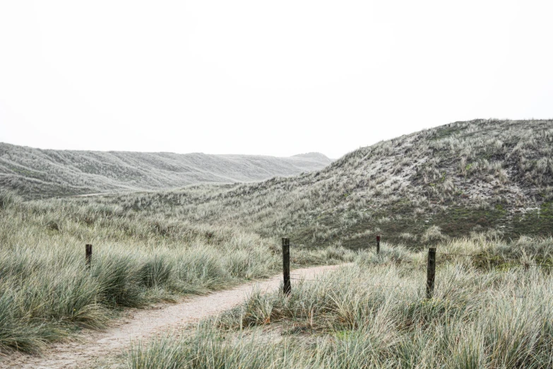 a path through grassy hill with mountains behind it