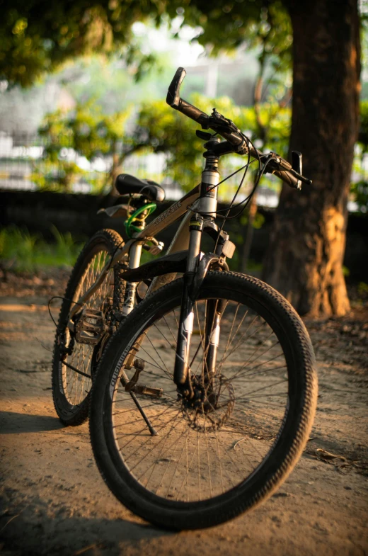 a bike leaning up against the tree