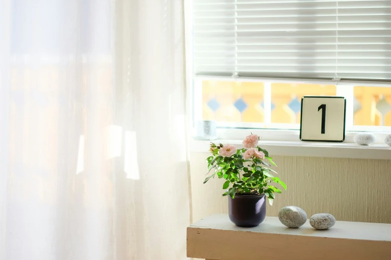 some flowers are on a table near a window