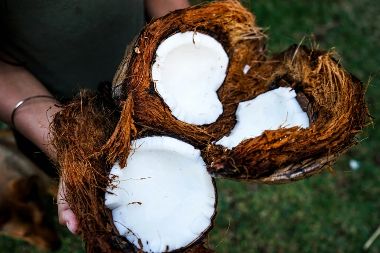 a person holding some coconuts in their hands