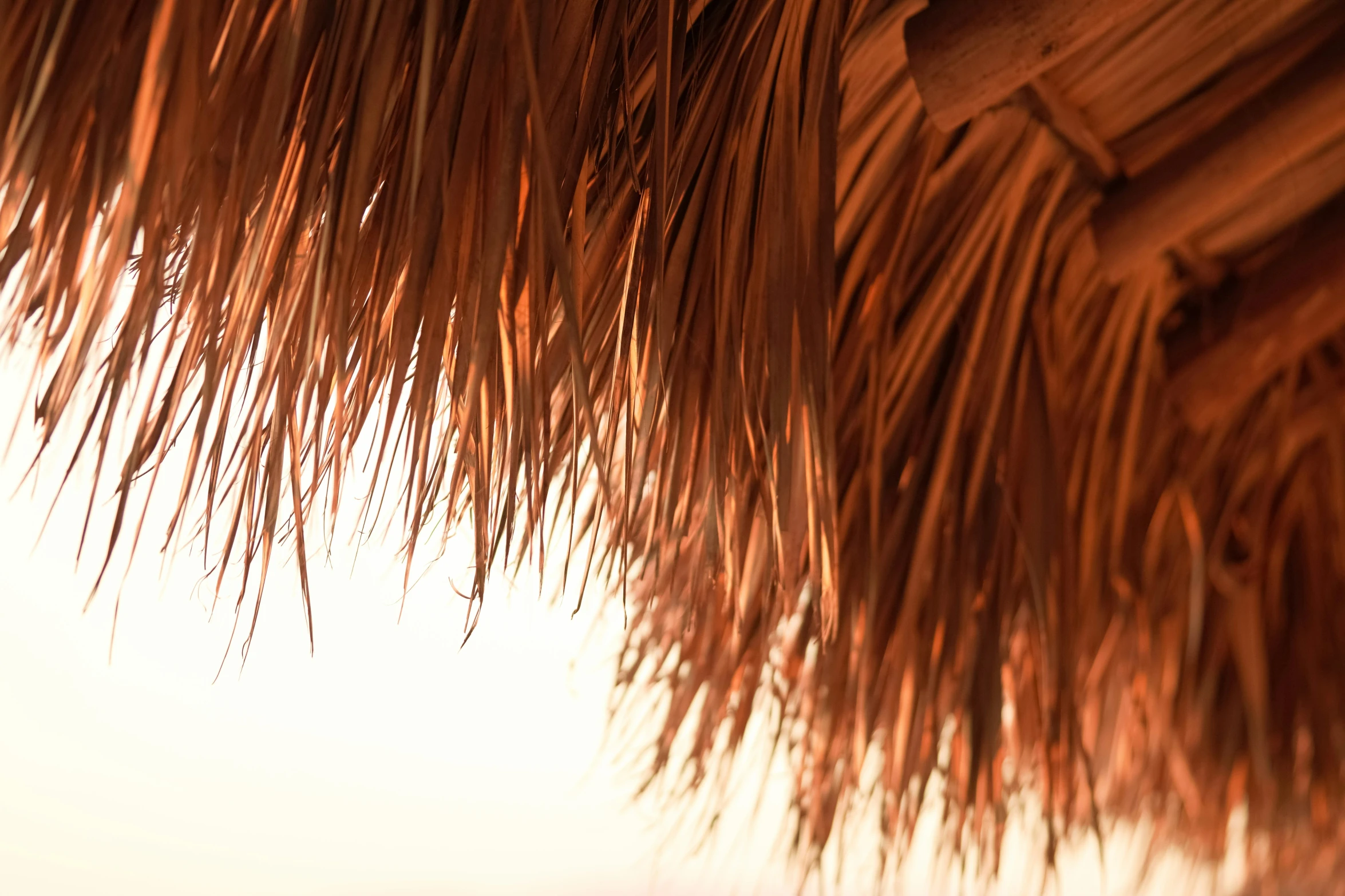 the silhouette of a man in a surfboard is shown behind a grass shelter