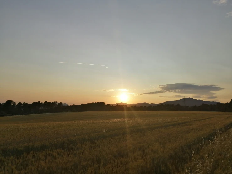 the sun is rising over the grass field