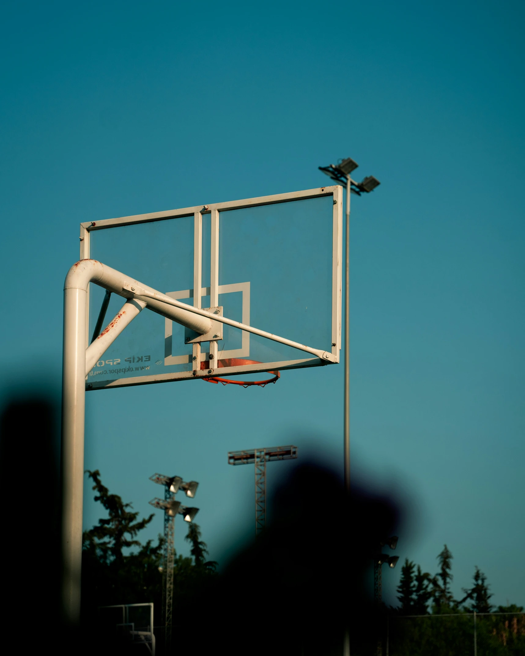 an old basketball game goal with a bird in flight