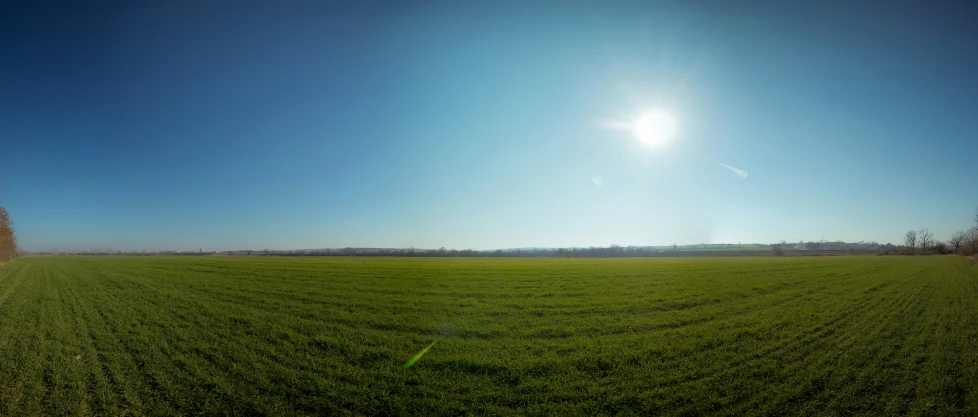 the sun shines brightly through the middle of a green field