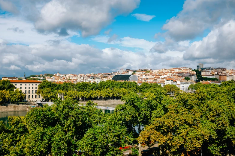 green trees with lots of white buildings in the background