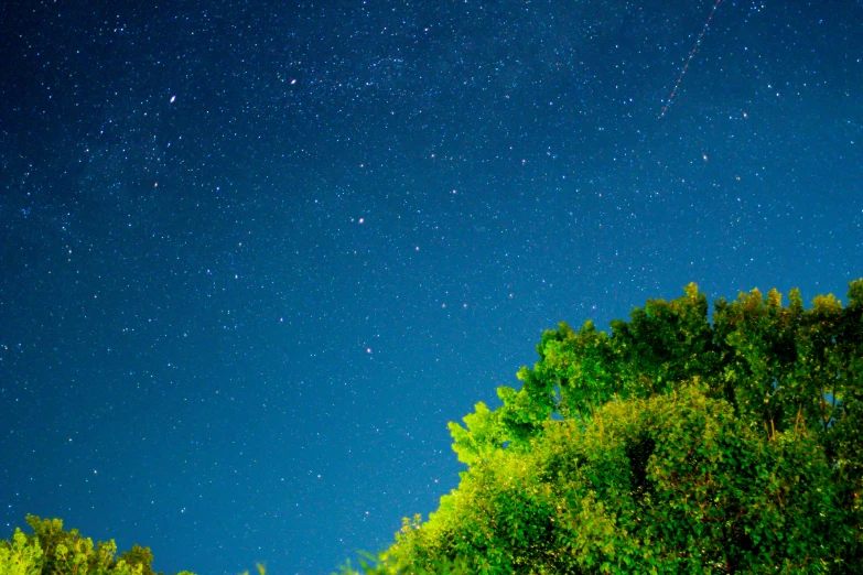 the night sky with stars and a tree line