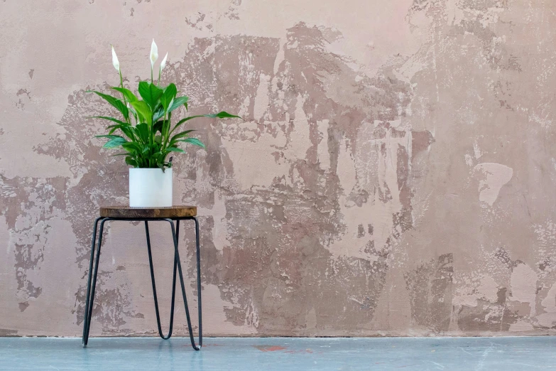 a small table with a plant on top and one plant behind it