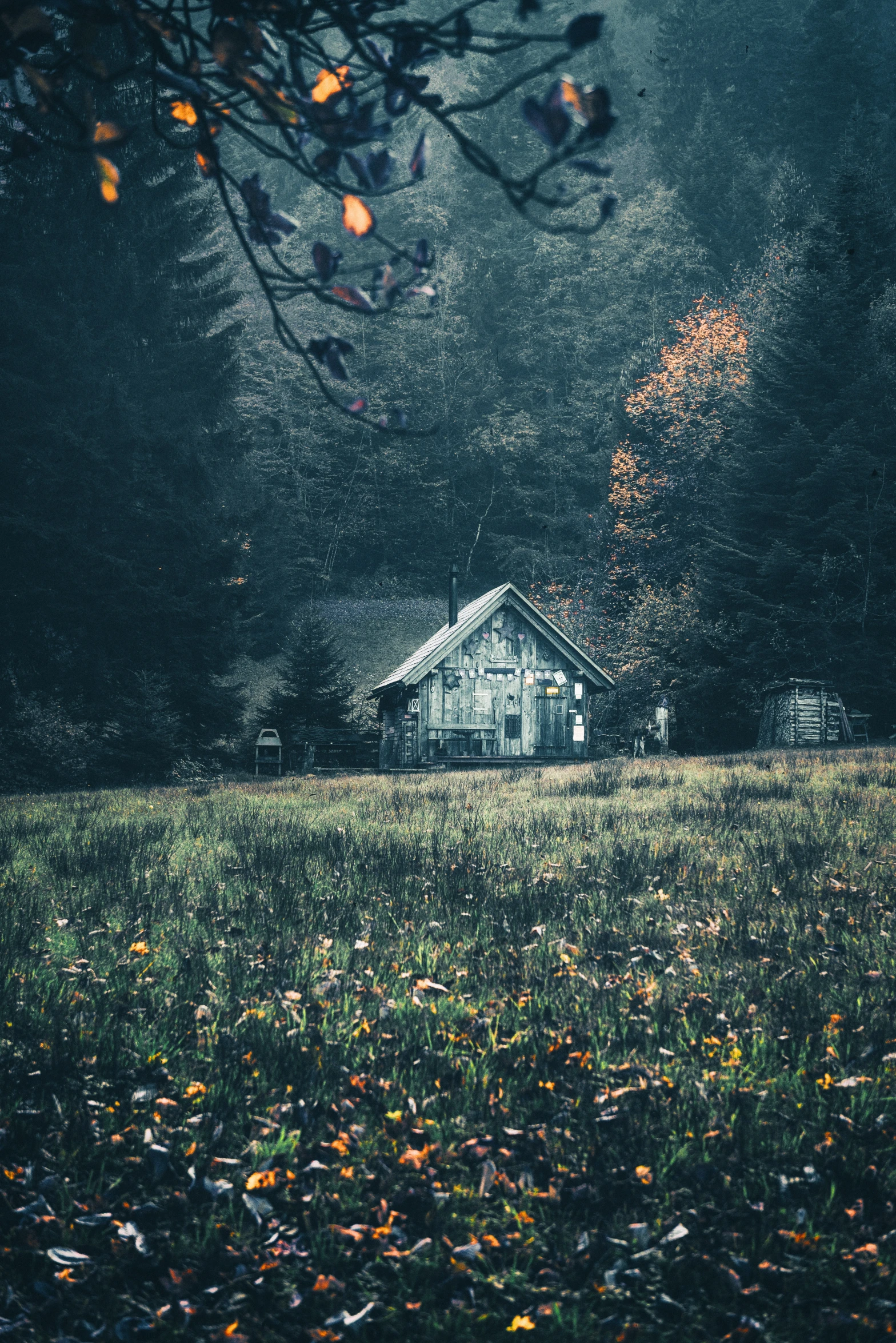 a house in the middle of a field with a tree and leaves on the ground