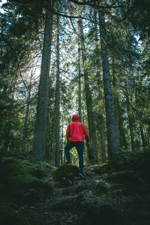 a man in a red coat walks in the woods