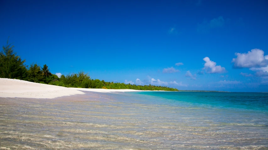 an empty beach with palm trees and water