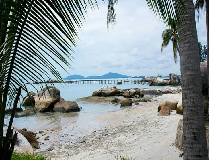 a beach scene with the dock and two palm trees