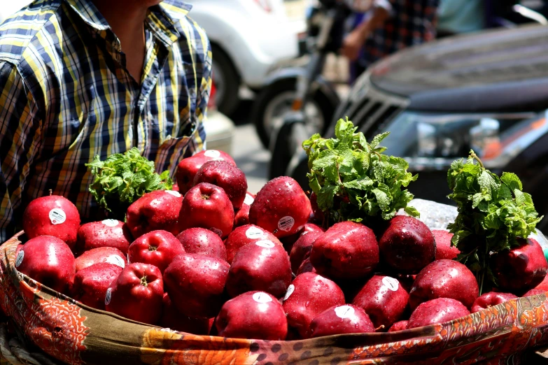 a person standing with an open shopping basket full of apples and vegetables