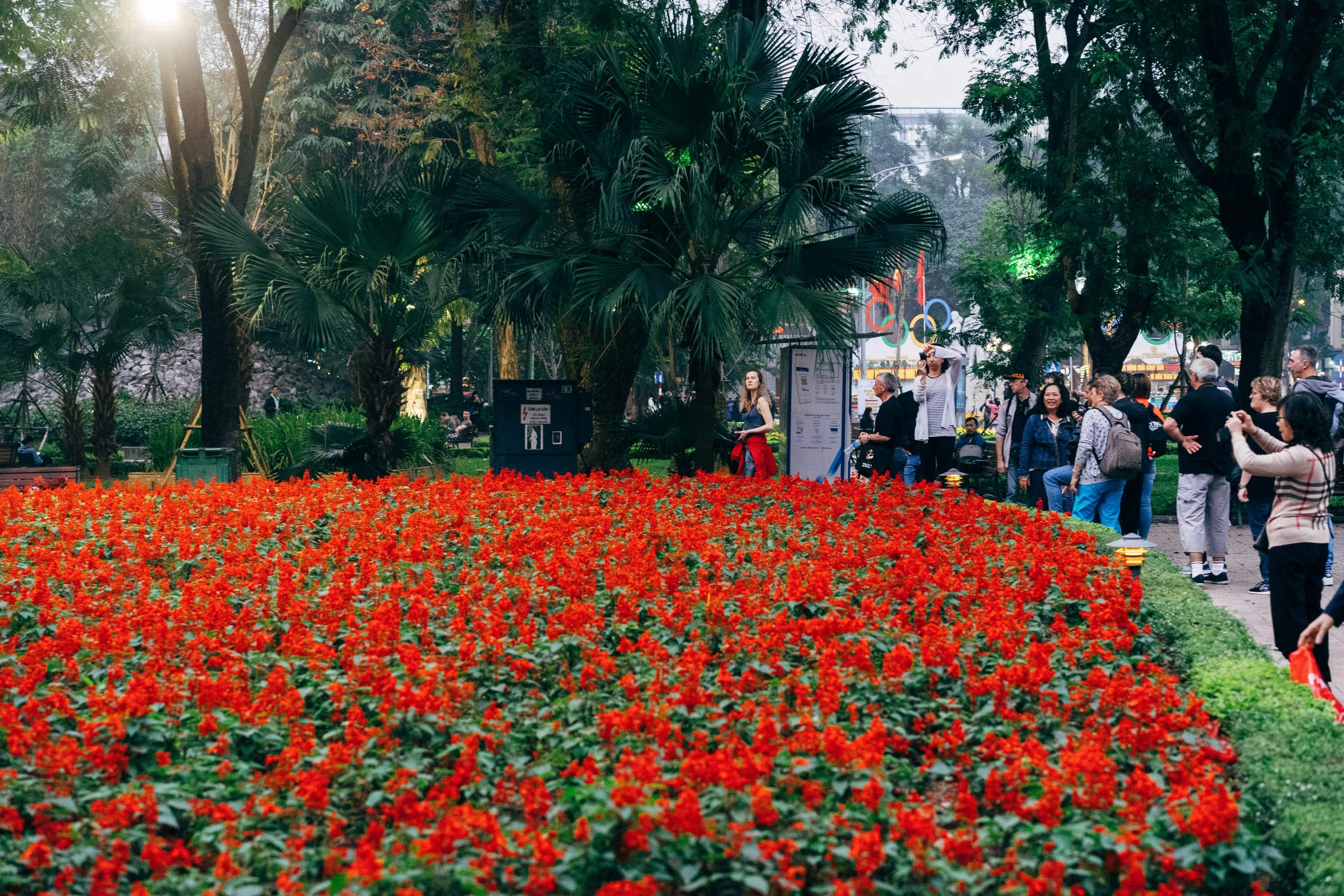 a very long flower bed with many people near by