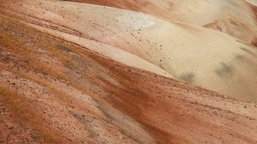 the top of a red rock with small holes in it