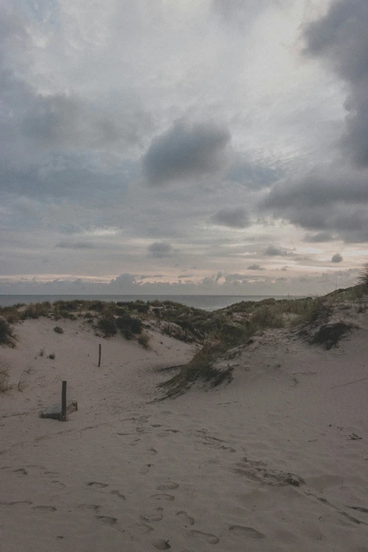 a bench sitting on the sand by a grassy area