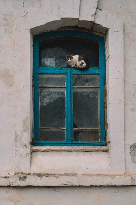 a cat sitting inside a window next to a building