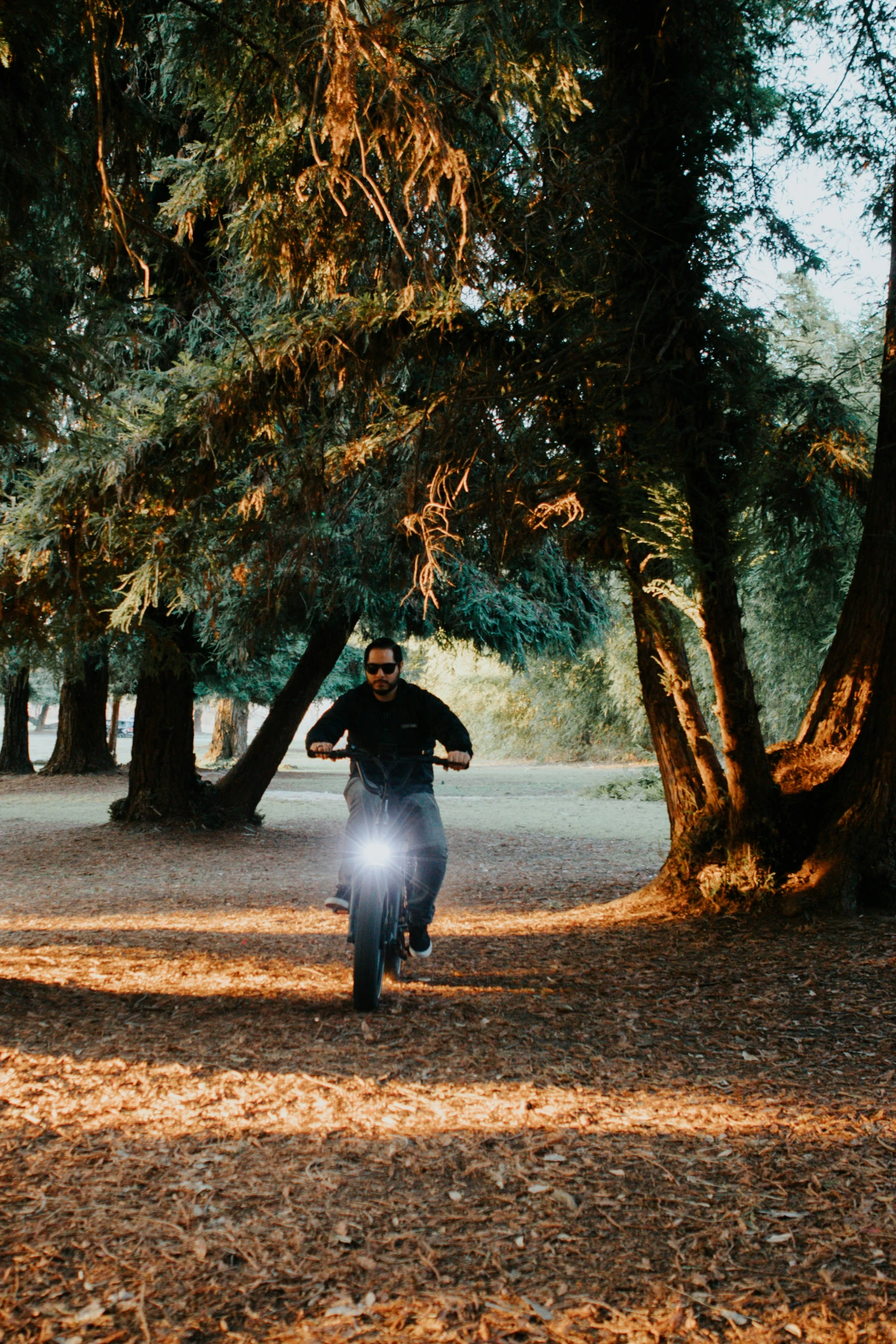 man walking under trees while carrying flashlight