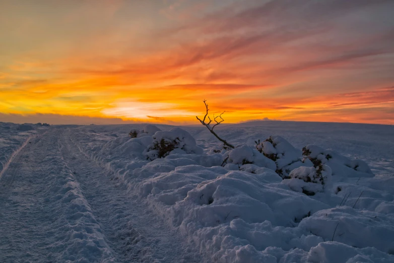 a path running through snow in a field