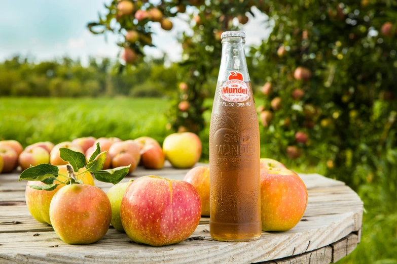 a glass bottle of apple juice next to apples on a picnic table