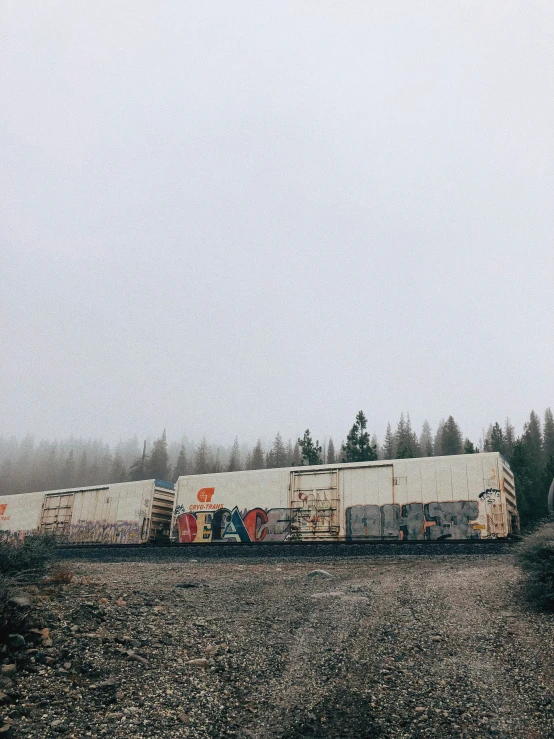 train cars in a field next to trees