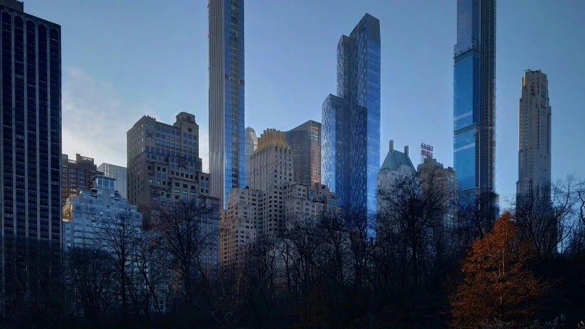 a city with tall buildings next to a forest