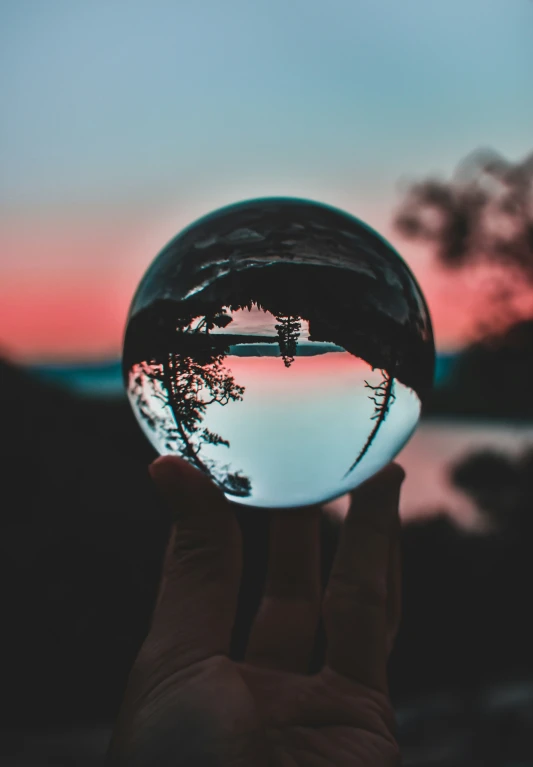 reflection of trees in a glass ball