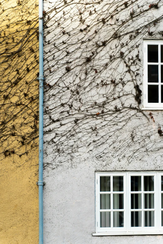 a couple of windows that are in front of a building