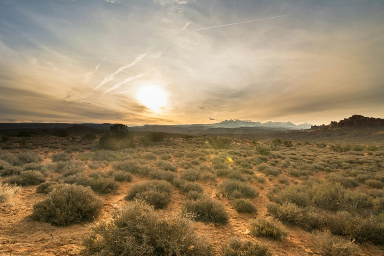 the sun rising in a desert area with scrub brush and bushes