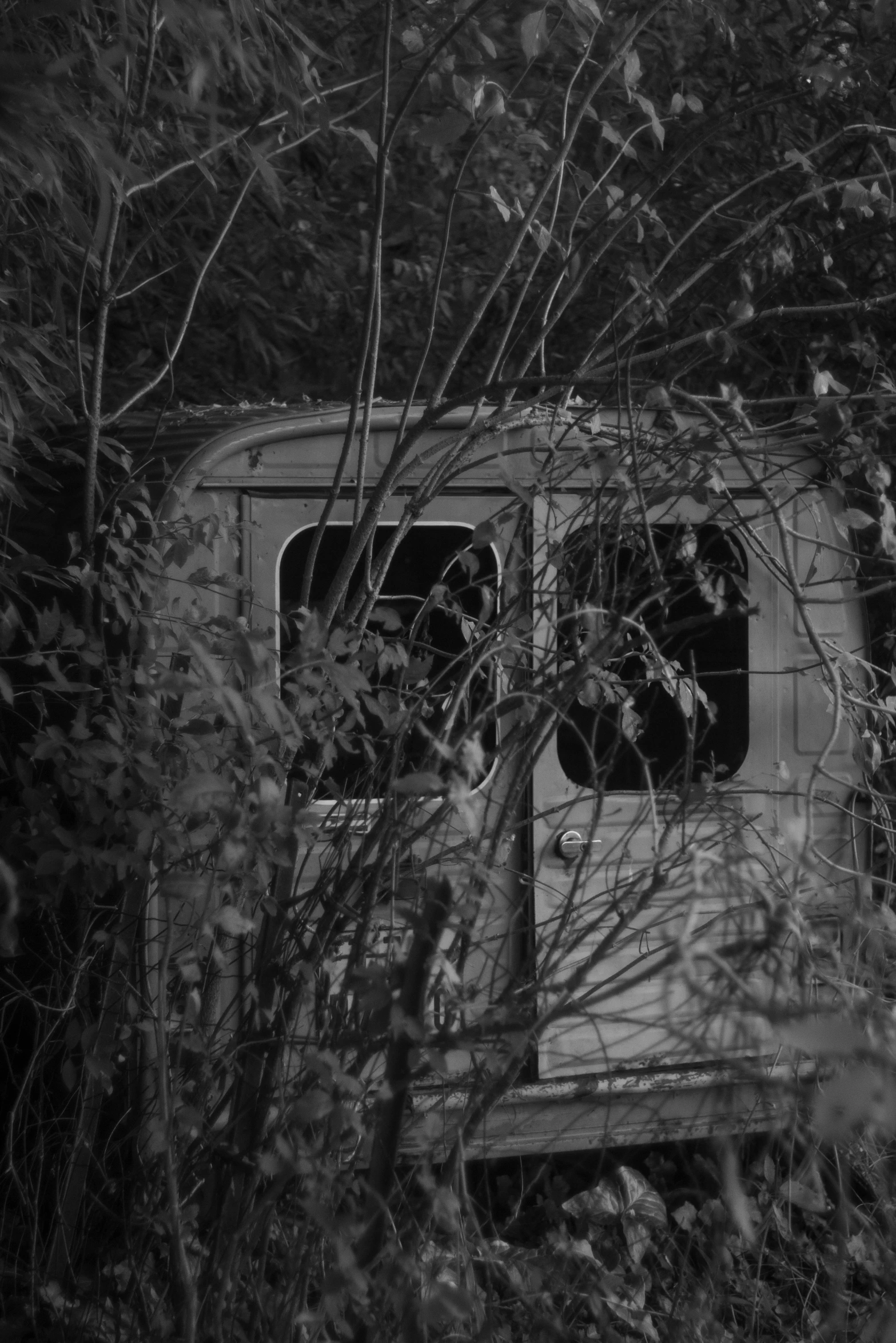 the broken window on an abandoned bus sits in the bushes