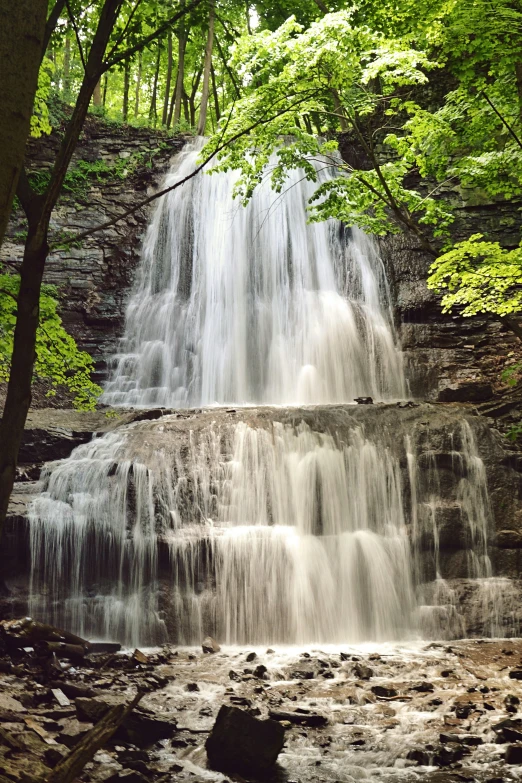 a waterfall surrounded by greenery with trees in the background