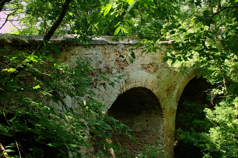 a old bridge has several arched holes near trees