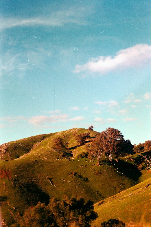 a lush green hillside with a wind vane near by