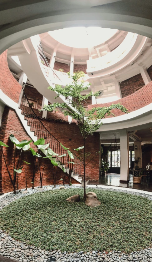 a plant growing from the ground beneath a spiral staircase