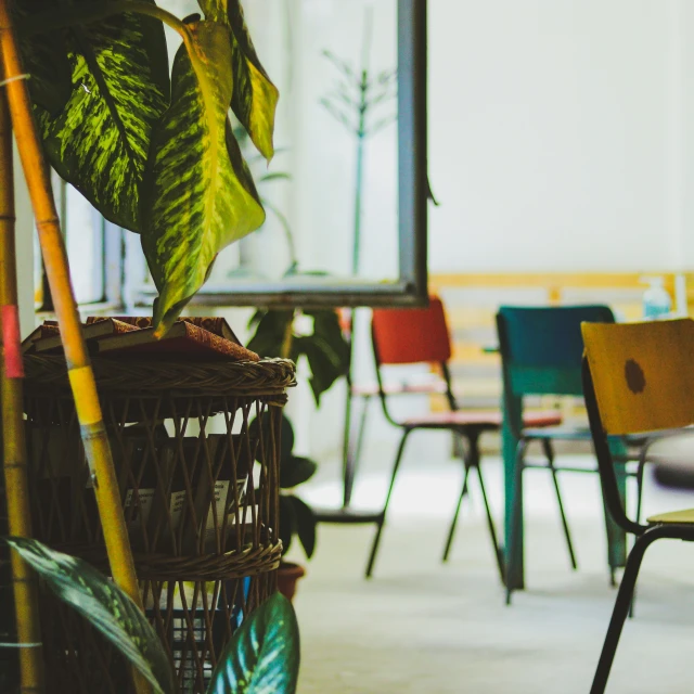 several chairs are in a row at different types of tables