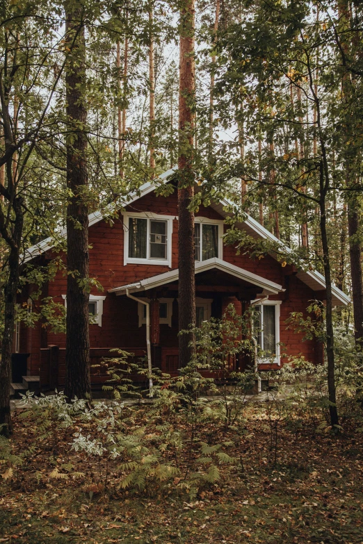 an old house is sitting in the woods