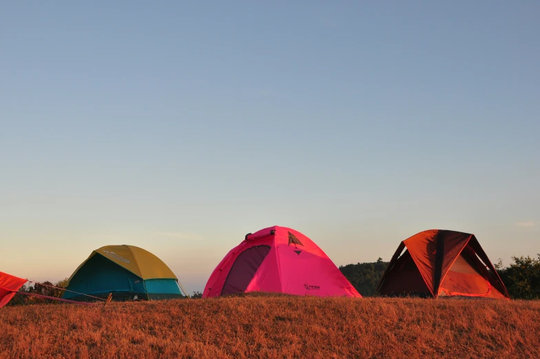 colorful tents are lined up in a field