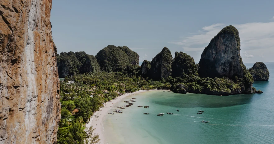 a white sandy beach covered in lush vegetation