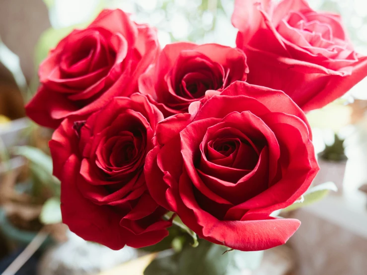 a vase full of red roses sits in a window