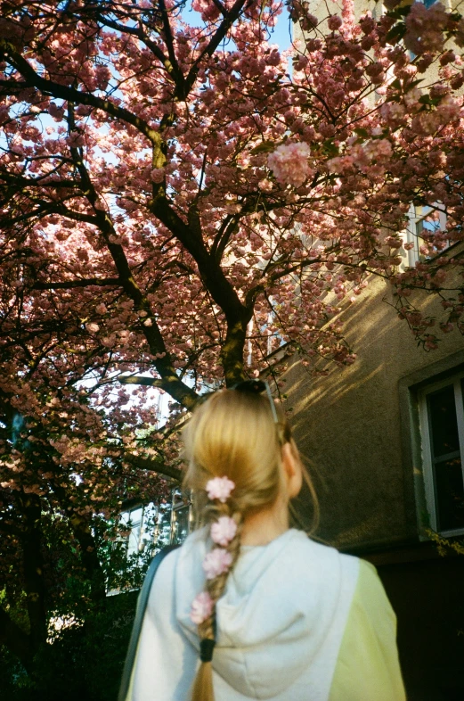 a woman is walking under a cherry tree with a pink flower in her mouth