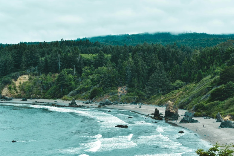 a small sandy beach with some trees on top