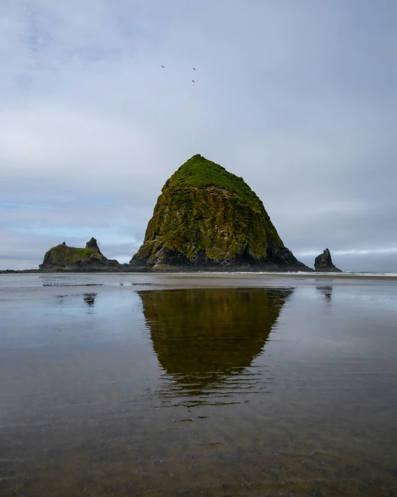 a large rock sticking out of the shore of the ocean