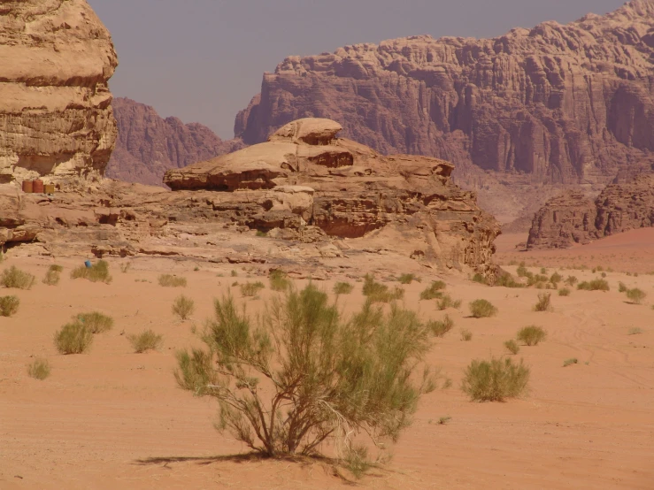 a desert landscape with very tall rocks, sp bushes and small bushes
