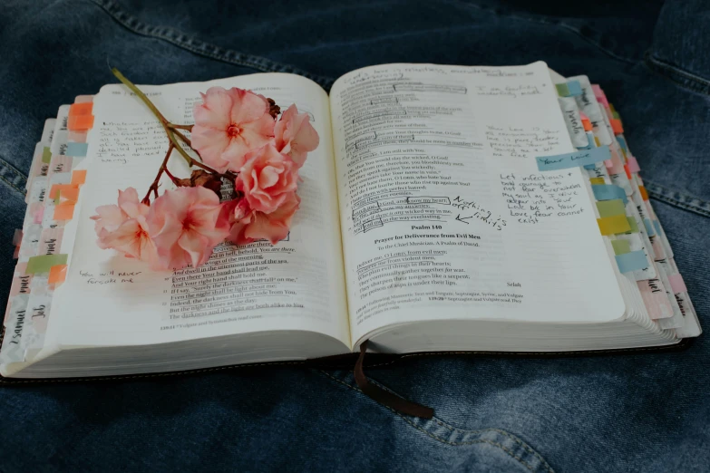 a book is open with some flowers on it