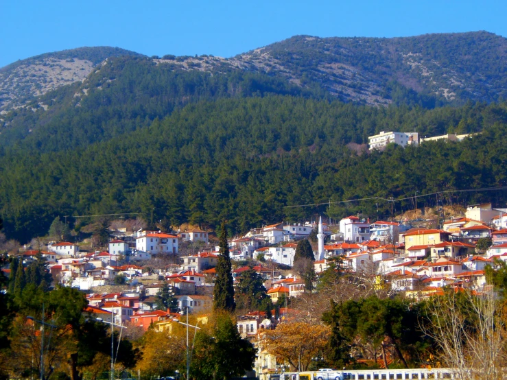 a small town with mountains and trees in the background