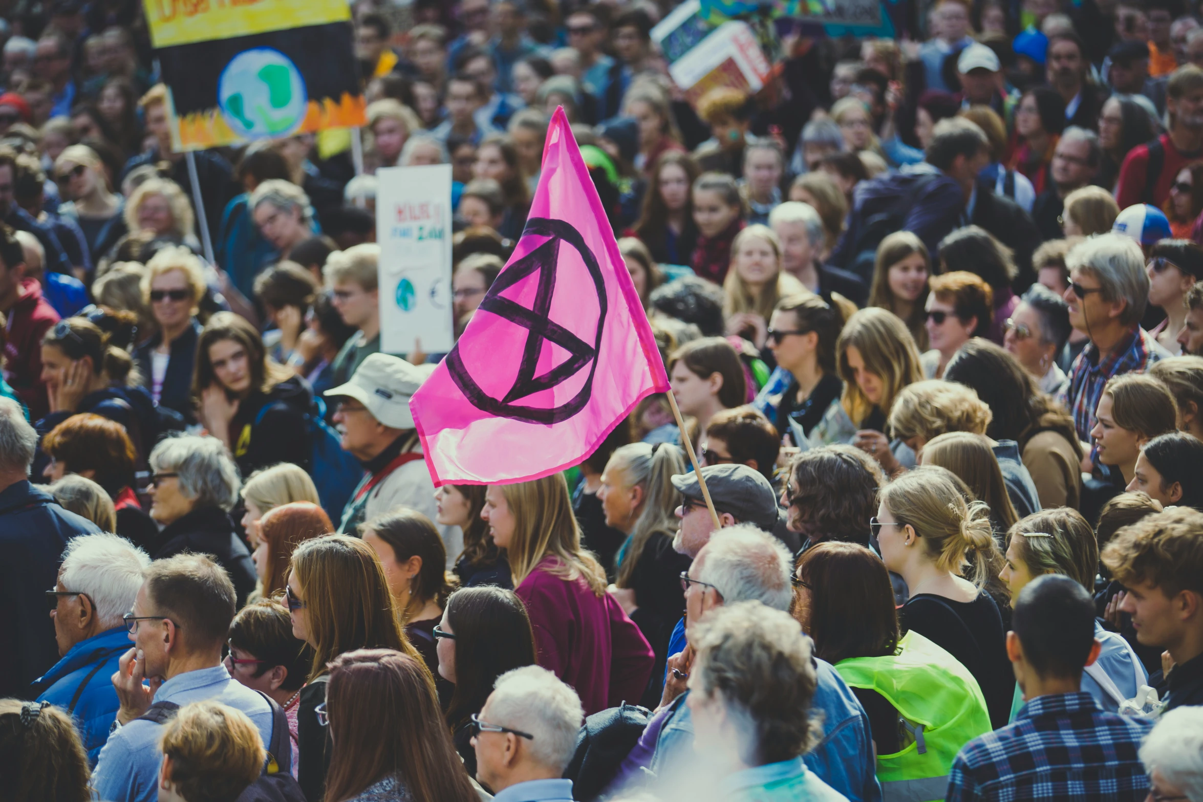 a crowd of people all with pink protest gear