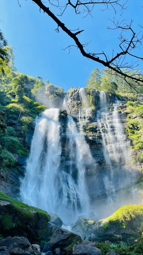 the waterfall at waterfall falls is very high in the trees